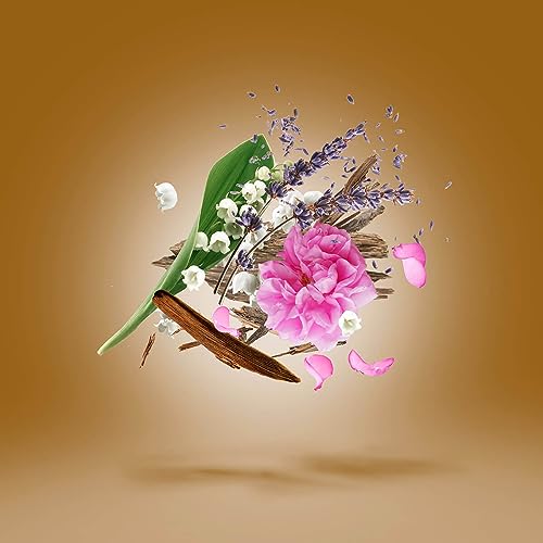 Xerjoff – Eau de Parfum Alexandria II Parfum 50 ml Xerjoff.