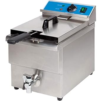 FROTH & FLAVOR Stainless Steel Electric Deep Fryer, 12 L (Silver)