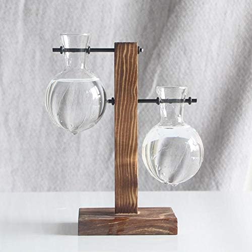 Glass Planter Bulb Vase, Desktop Air Plant Terrarium Kit with Retro Solid Wooden Stand, Plant Propagation Stations Terrarium for Indoor Water Plants Home Garden Office Decoration Accessories