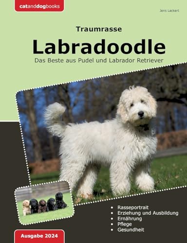 Traumrasse: Labradoodle: Das Beste aus Pudel und Labrador Retriever