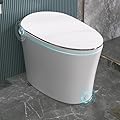 DeerValley Smart Toilet, DV-1S0019-V1 One Piece Tankless Toilet, Elongated Toilet with Auto/Blackout Flush, Foot Kick Sensor, Adjustable Heated Seat, Night Light
