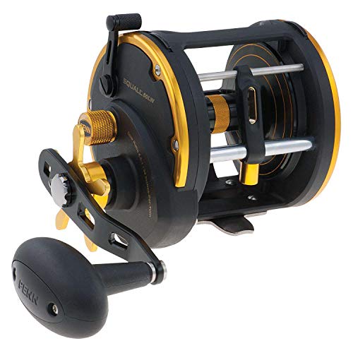 PENN Fishing SQL50LW Squall Level Wind , Black, 320Yd/50Lb