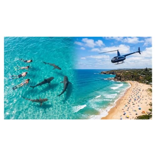 2: Would you swim with a shark?