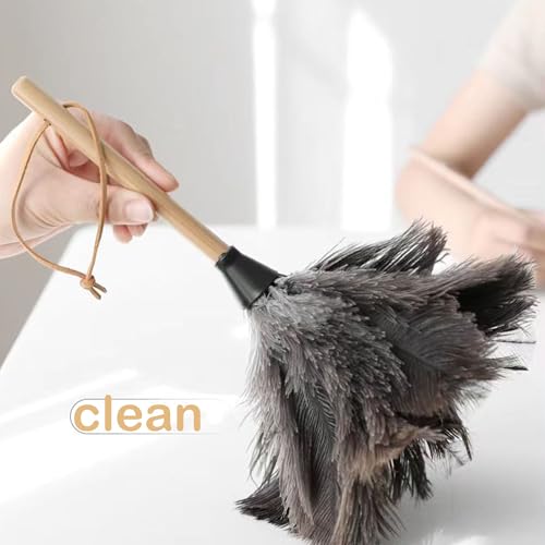Image of Ostrich Feather Dusters, Naturally Soft, Easy to Dust, Multi-Purpose Use, Solid Wood Handle, 17.3'' Long, Gray