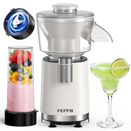 FEPPO Snow Cone Machine & Smoothie Blender 2 in 1, 700W Shaved Ice Machine