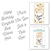 Spellbinders Dies LNE, Smooth Lines Mix & Match Sentiments