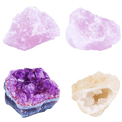 4 Pieces Tillandsia Air Plant Crystals Holder Small Air Plant Pot for Air Plants Home Decor Display (Air Plant Not Included)