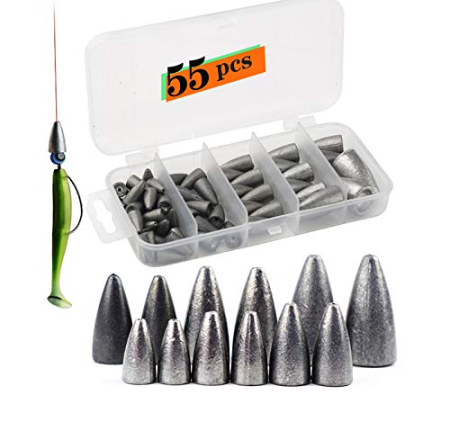iLure Fishing Weights Sinkers Rig Bass Beads Bullet Sinkers Carolina and Texas and Fishing Beads Assorted and Jig Hook Kit 55PCS