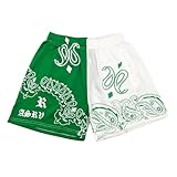 DIOTSR Mens Mesh Paisley Shorts Casual Retro Graphic Shorts Streetwear Athletic Basketball Shorts (White & Green,X-Small)