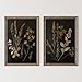 Vintage Floral Wall Art Decor Black Botanical Canvas Art Moody Flower Wall Art Dark Academia Poster Painting Vintage Floral Prints Pictures for Bedroom Living Room 16x24 Inch Set of 2 Unframed