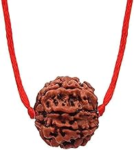 PTM Natural Certified 1/2/3/4/5/6/7/8/9/10/11/Ganesh/Gaurishankar mukhi Astrological Original Nepali Rudraksha Beads with lab tested certificate for Men and Women