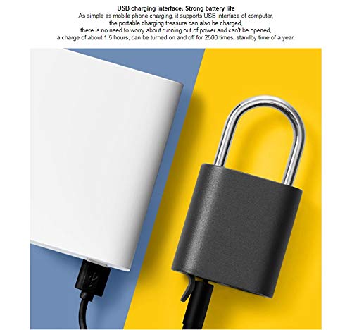 Blocco dell'impronta digitale Smart Mini lucchetto IPX7 Riconoscimento dell'impronta digitale impermeabile per lo zaino della scuola dell'armadietto dei bagagli della porta (Color : A) (A)