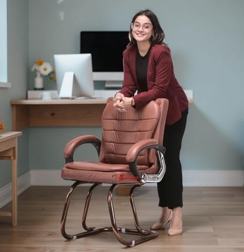 Image of GOYALSON Deluxe Cushioned Office Home Study Chair with Chrome Durable Frame and Cushioned seat Back (2, Brown, Copper Coated Double Pipe Frame)