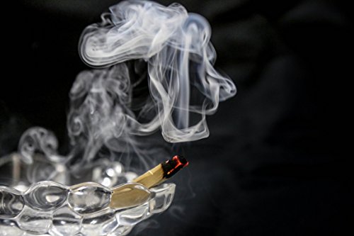 Sacred Palo Santo Wood Incense Sticks - New Age Smudges & Herbs | Harness 'Holy Wood' For Cleansing, Meditation & Energy | Ethically Sourced, Aromatic | 6 Premium Sticks For Spiritual Enrichment #TOP6