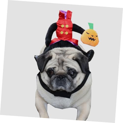 Disfraz Halloween Calabaza para Perro Talla Mediana miniatura 5