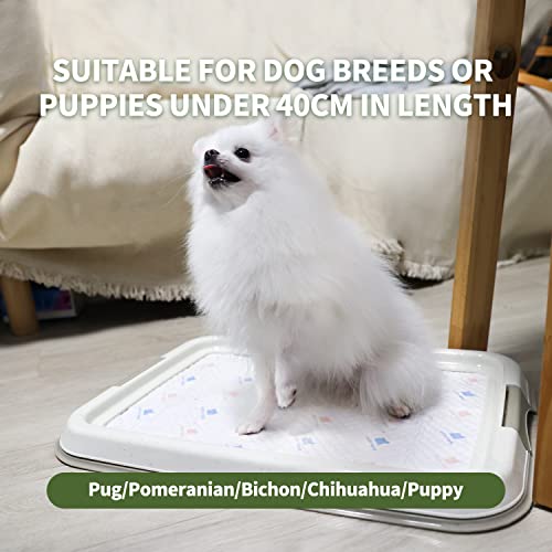 Pawise Pee Pad Holder For Puppy Pads, Dog Pad Holder, Pee Pad Tray For Training Pads,Puppy Pad Holder (19.2"X14") #TOP5