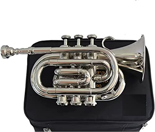 Kelleen Heartbeat Bb Pocket Trumpet Nickel Finish Brass Body Musical Instruments Best For Begineer, Intermediate Or Advanced With Free Hard Case, Mouthpiece, Spring Set, Pair Of Gloves #TOP1