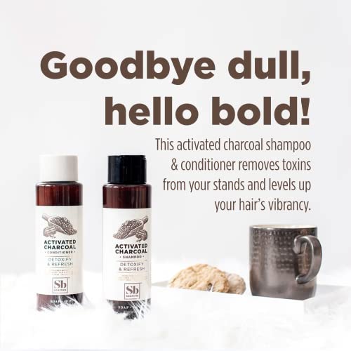 Soapbox Hair Conditioner, Hydrating & Detangling Conditioner W/Vitamin E, Shea Butter & Activated Charcoal- Sulfate, Paraben & Silicone Free Vegan Hair Care For Dry Hair - 16Oz Pack Of 3 #TOP2