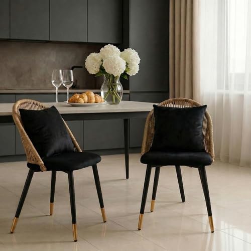CLIPOP Lot de 2 chaises de salle à manger, modernes, avec dossier en polyrotin et sièges confortables en velours, rembourrées, pour cuisine, jardin