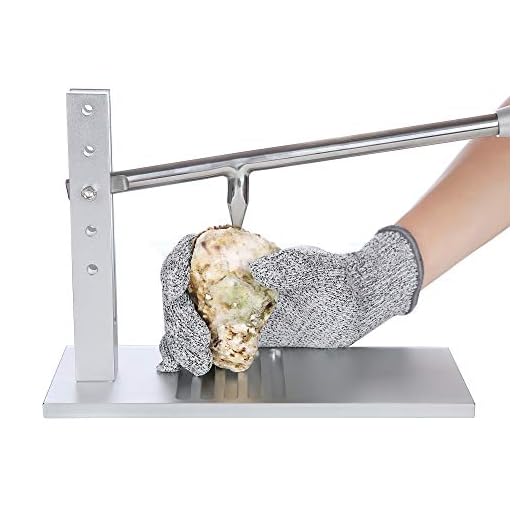 41IT1pC7itL._SS520_ Best oyster opening machine