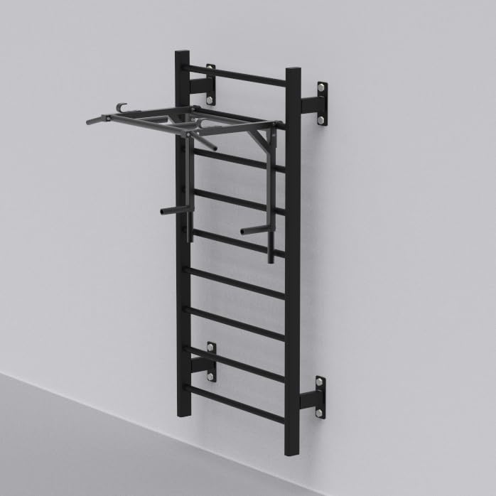 Image of Flat Swedish Ladder with Multi Purpose Bar Heavy Duty Powder Coated Metal Wall Mounted Ladder & Bar for Yoga Physiotherapists Calisthenics & Gymnastics (BLACK, 37KG)