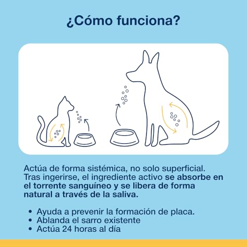 ProDen PlaqueOff Perros y Gatos en Polvo 60g, Limpieza Dental con 100% Alga Natural, Limpiador de Sarro Dental y de Placa, Elimina Eficazmente el Mal Aliento en Mascotas - imagen 8