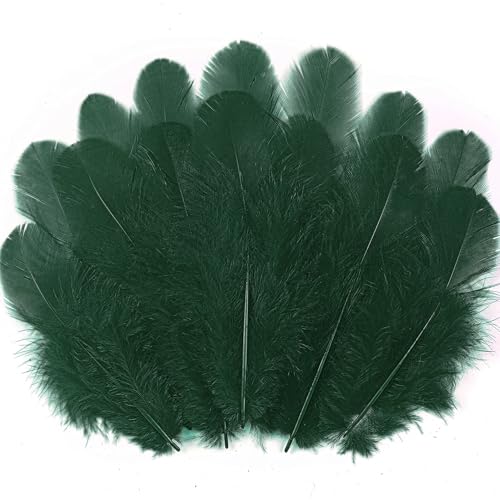 Soarer Blackish Green Craft Feathers Bulk for...