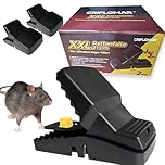 XXL Rattenfalle 21cm – 2er Pack Große Schlagfalle, Wiederverwendbar, Heavy Duty, Effektive Falle für Ratten, Schwarz