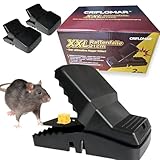 XXL Rattenfalle 21cm – 2er Pack Große Schlagfalle, Wiederverwendbar, Heavy Duty, Effektive Falle für Ratten, Schwarz