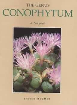 New Views of the Genus Conophytum コノフィツム Dumpling And His Wife: New Views Of The Genus Conophytum