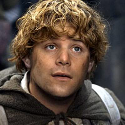 Folge #2 - Die Heldenreise - ist Sam der wahre Held von "Herr der Ringe"?