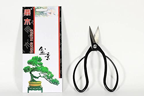 Forbice bonsai per radici semi-professionale mm. 195