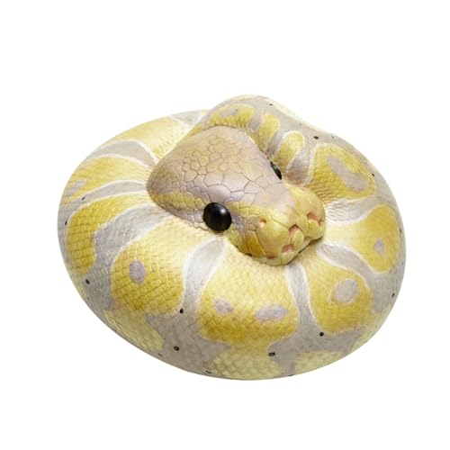 Guide To Ball Python Morphs: Genetics & Popular Types – Scale Companions