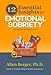 12 Essential Insights for Emotional Sobriety: Getting Your Recovery Unstuck (12 Series)