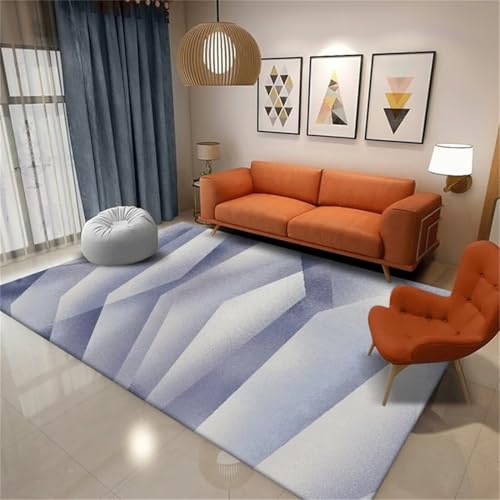 Tapis de salon gris-bleu 70x140cm moderne et propre - 2