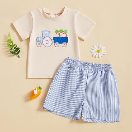 Image of Toddler Baby Boy Easter Rabbit Outfit Short Sleeve Bunny Carrot Smocked T-shirt Elastic Waist Shorts Summer Clothes