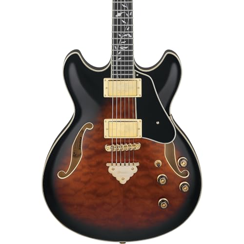 【新品弦張替済】GFC セミアコ PRSタイプ Tree of Life Amazon | Ibanez/Artcore Expressionist AS93QMSP DBS (Dark Brown
