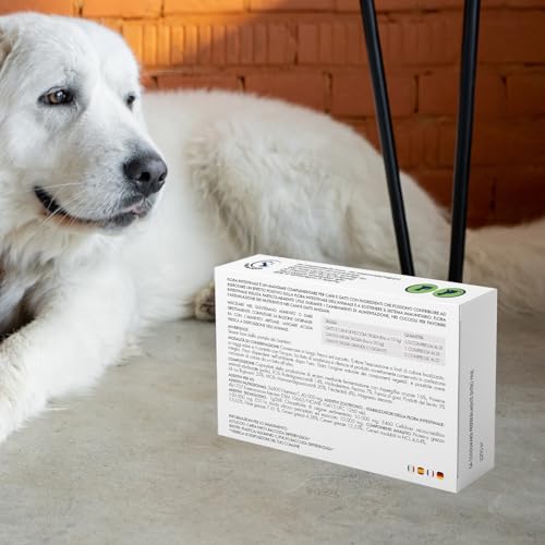 Suprapet Flora Intestinale Cani E Gatti 60 Compresse - Fino A 4 Mesi Di Fornitura, Con Fermenti Lattici, Probiotici, Vitamina C - Per Intestino E Flora Batterica - 6