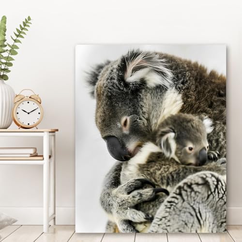 Cadre intérieur Koala grand format 87x118cm prêt à être accroché