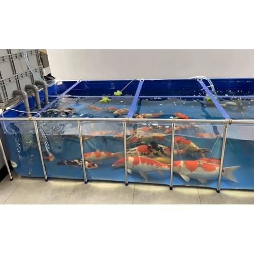Piscina in tela di PVC con telaio in acciaio – Piscina fuori terra rettangolare pieghevole con finestra di visualizzazione trasparente per uso esterno