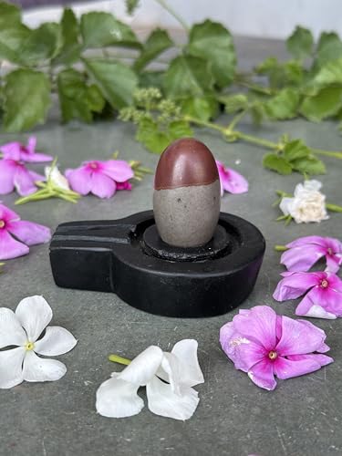 Image of Shivam VASTU AKAL 1.5 inch Original Narmadeshwar Narmada Shivling with 3 inch Narmada Stone Yoni Base Jaladhari (Mahamratunjay Shivling, Black Flate Jaladhari)