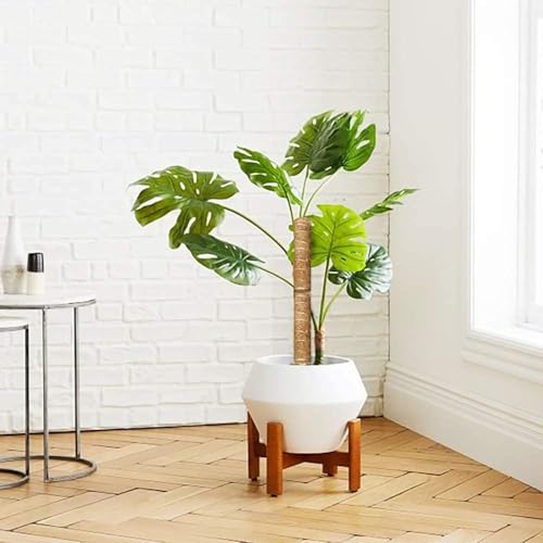 Monstera Support pour Plantes grimpantes - Facile à rallonger - Aide à l'escalade idéale pour Les Plantes d'intérieur - pour Plantes grimpantes - Tige en Coco Naturel (Brown-40) – vue 5