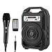 EARISE T35 PA System