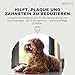 Petstyle Living Kaustange mit Ente - Hundesnack - 12,5cm - 100 Stück