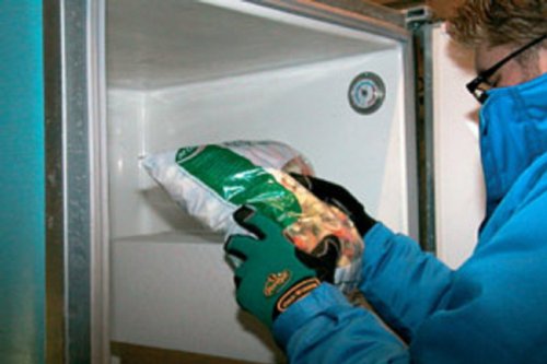 FerdyF. CLARINO® EN 388 Mechanical Hazards 2142 + EN 511 Cold Hazards 22 Size 10 (XL), green black, XL (10) - Image 2