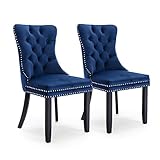 JETEAGO Velvet Dining Chair Set of 2, Upholstered Tufted Dining Room Chair with Nailhead Trim and Solid Wood Leg for Kitchen, Blue