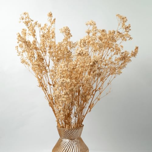 Baby Breath | Handcrafted Dried Flower Bouquet, Artificial Floral...