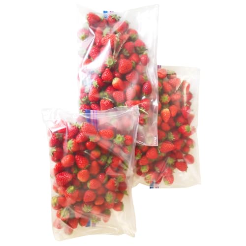 訳あり いちご あまおとめ 約1.3kg 小粒 加工用 冷蔵 規格外品 りの果樹園 愛媛県 西予市