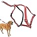 SPORN Ultimate Control Dog Harness, Red, Large