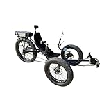 cozytrikes Black Folding Fat Tire Electric Tricycle – Off-Road Big Wheel Trike, 750W Motor, Snow and All-Terrain Ready